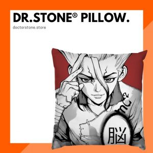 Dr. Stone Pillows